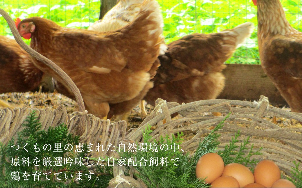 【全3回定期便】「長崎彩黄卵」 朝採れ 玉子 30個入り 卵 たまご 鶏卵 新鮮