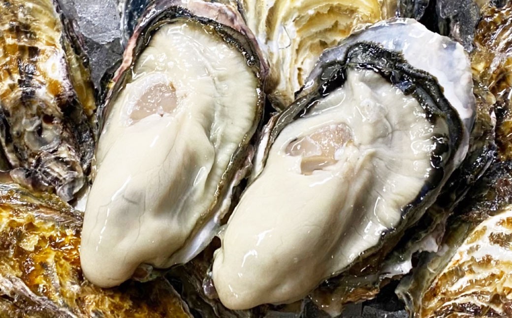 【2回定期便】牡蠣 生食用 坂越かき 殻付き 42～48個