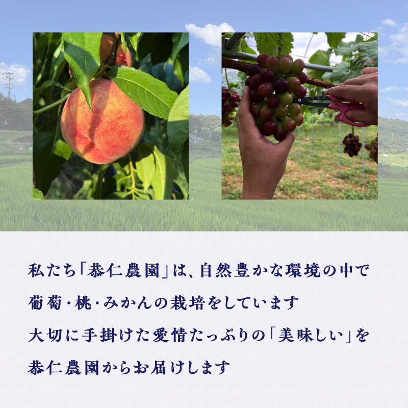 京都産シャインマスカット･ナガノパープル ジャム2種セット