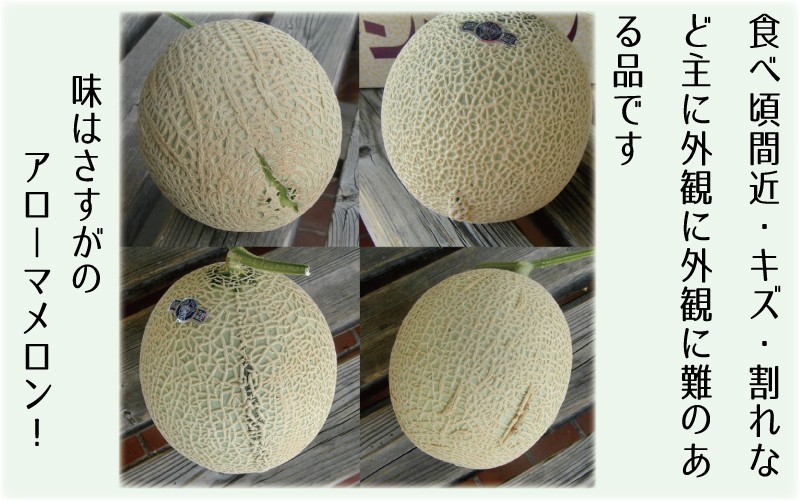 【6ヶ月定期便】訳あり 静岡県産 アローマメロン 1玉 約6.0kg以上 化粧箱入