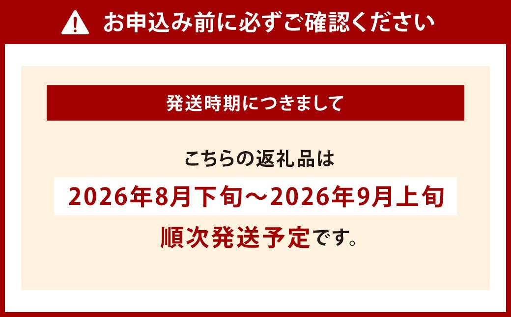 高級ぶどう（ナガノパープル）・シャインマスカット 計2房セット 計1.1kg程《化粧箱入り》