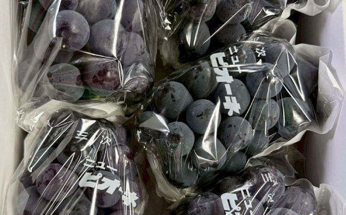 訳あり 不揃い 家庭用 種なし ぶどう ピオーネ フルーツ 果物 種無し ブドウ 葡萄 三次 広島