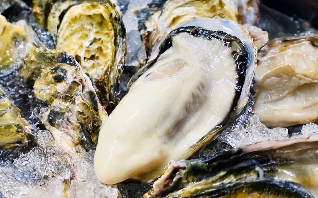 【2回定期便】牡蠣 生食用 坂越かき 殻付き 42～48個