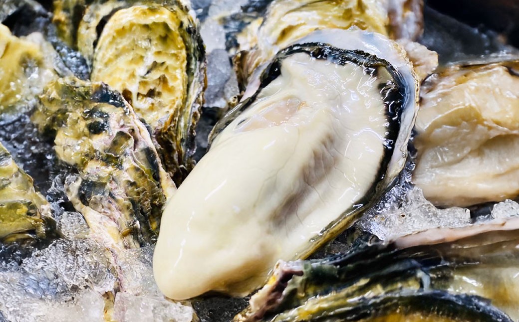 【3回定期便】 牡蠣 生食用 坂越かき 殻付き 42～48個