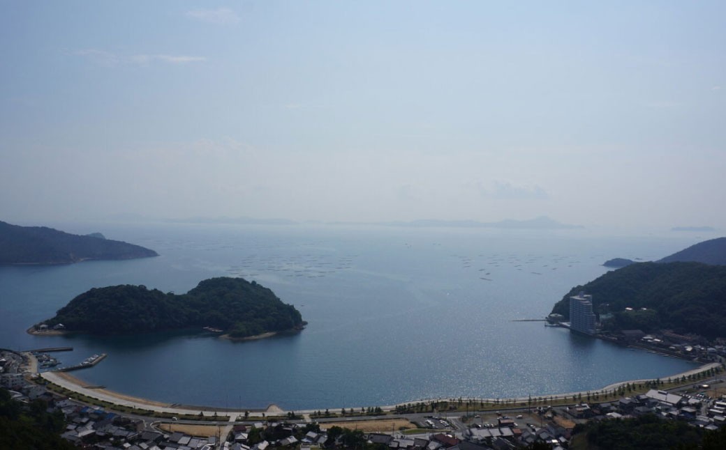 牡蠣 生食用 坂越かき 殻付き 20～25個