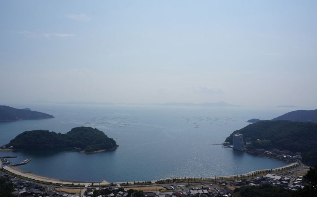 【3回定期便】 牡蠣 生食用 坂越かき 殻付き 42～48個