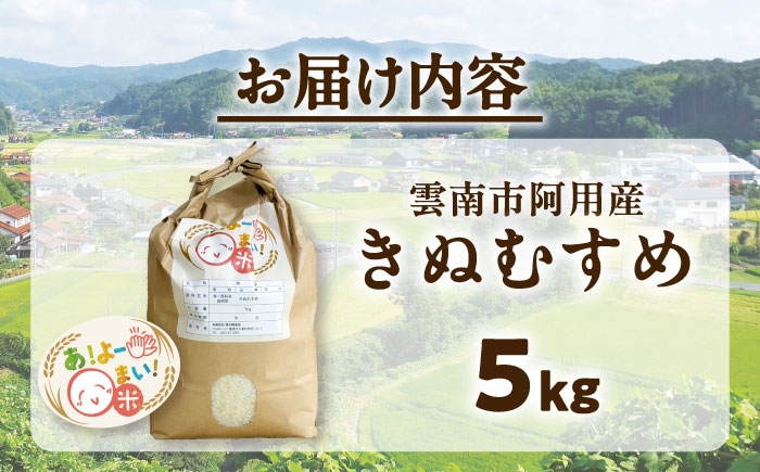 新米 令和8年産 特A 5キロ コメ 米白 米 精米 島根 雲南