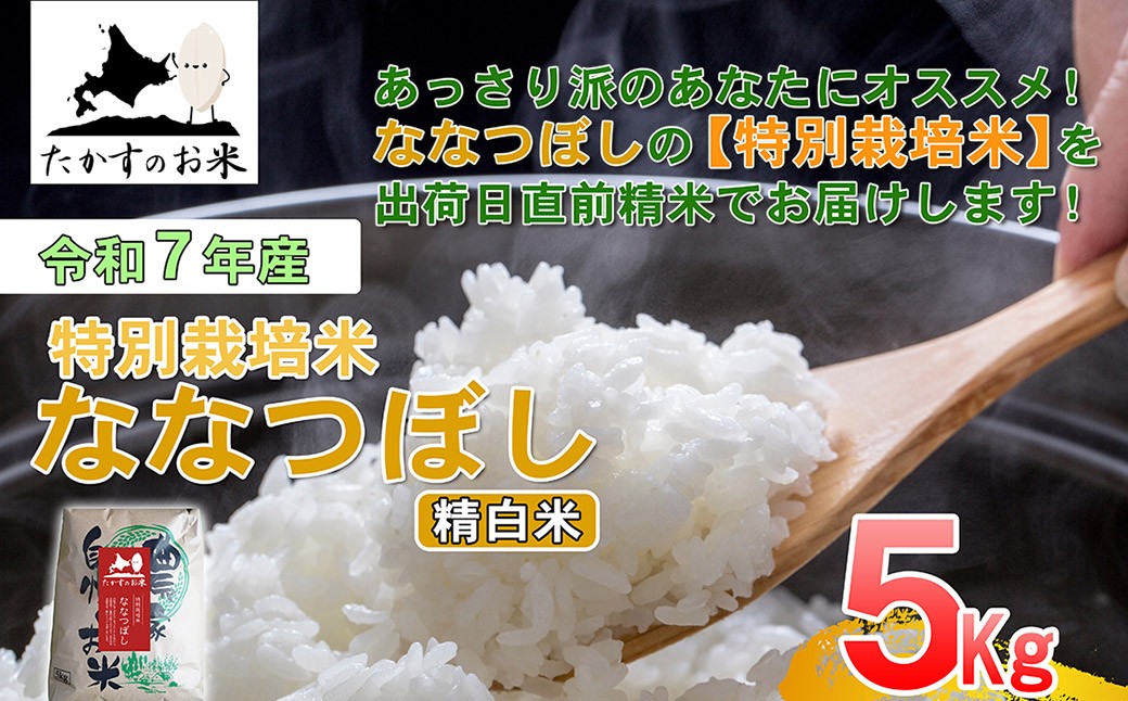 【 令和7年産 】 ななつぼし （ 精白米 ） 北海道 米 定番の品種 5kg