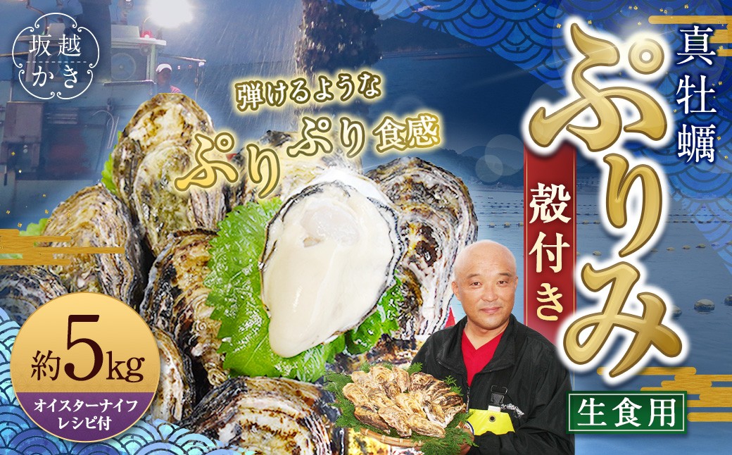 生食用 真牡蠣「ぷりみ」約5kg 