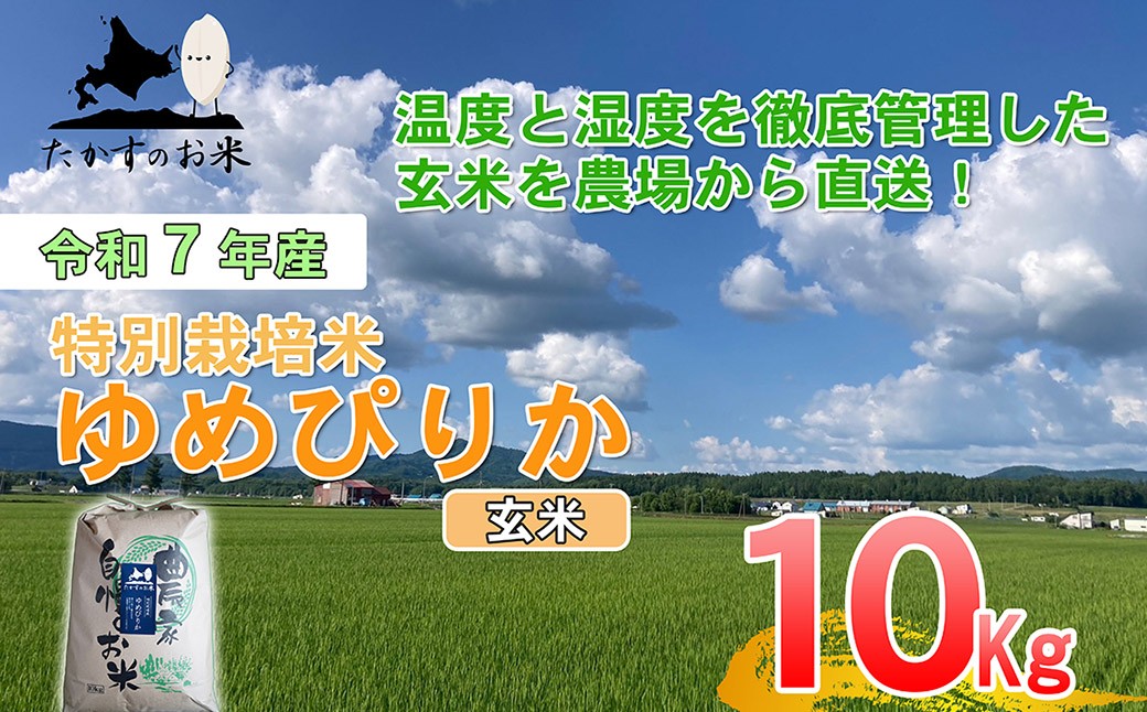 【令和7年産】 ゆめぴりか (玄米) 北海道 米 を代表する人気の品種 10kg