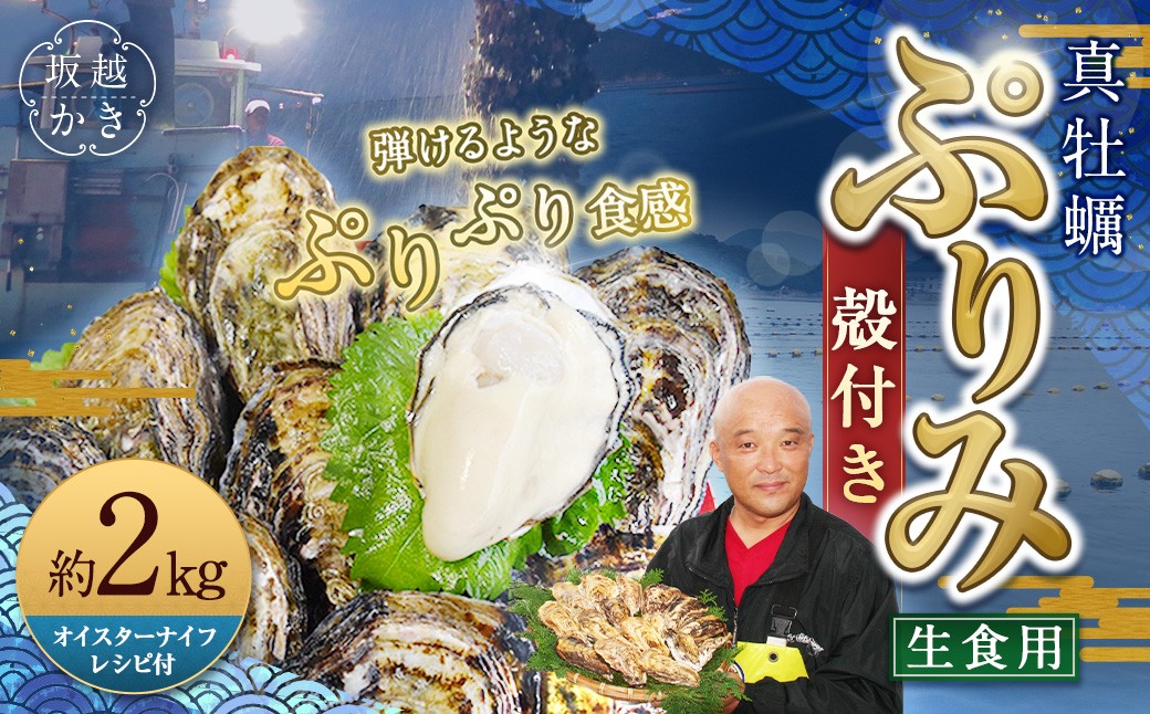 生食用 真牡蠣「ぷりみ」約2kg 