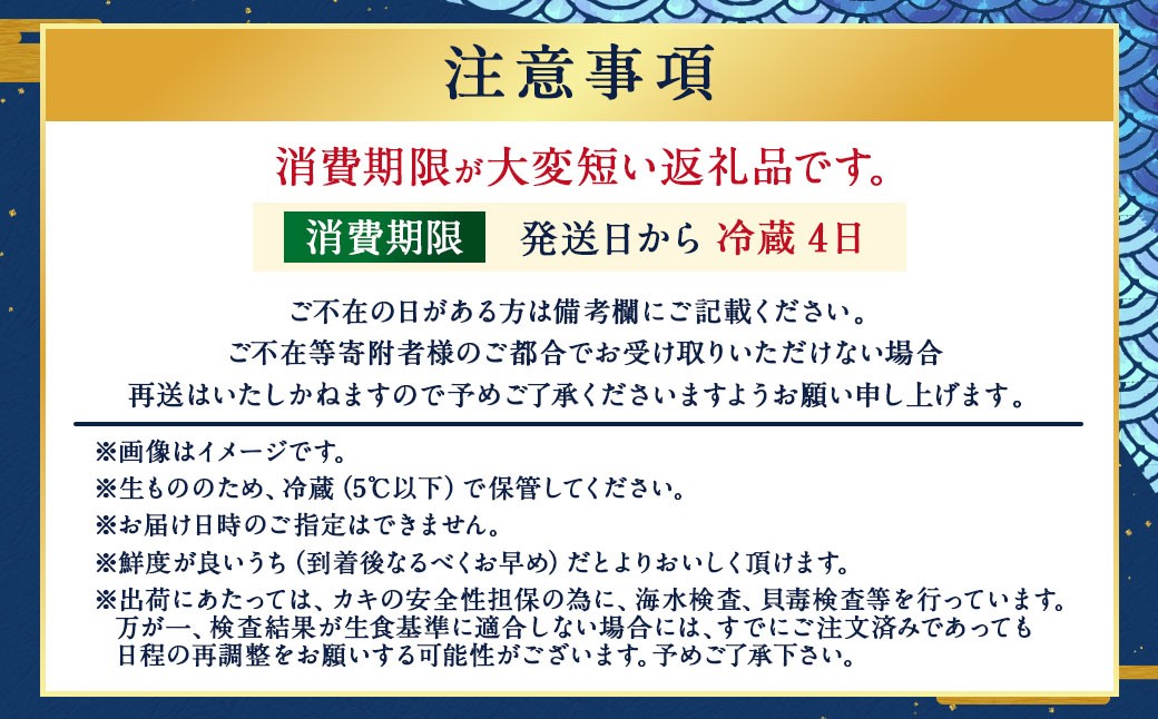 生食用 真牡蠣「ぷりみ」約1kg 