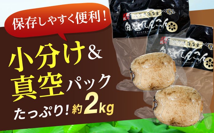保存しやすい真空パック＆便利な小分け入り！