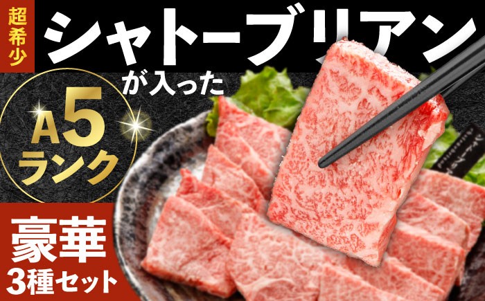 国産 長崎和牛 牛肉 ぎゅうにく 和牛 わぎゅう 肉 にく 牛 a5 焼肉 やきにく 焼き肉用 セット 希少部位 食べ比べ