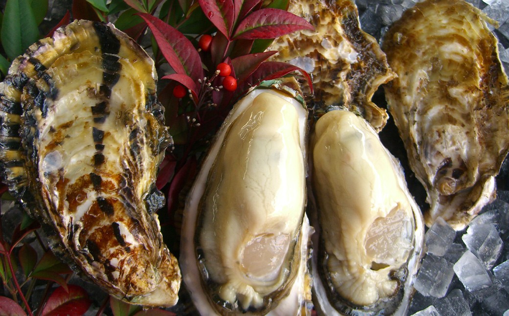 坂越産カキ 生食用 殻付 約5kg