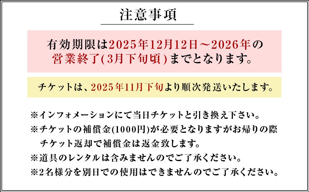 くじゅう森林公園スキー場 1日分 リフトフリーパス券2名様分 