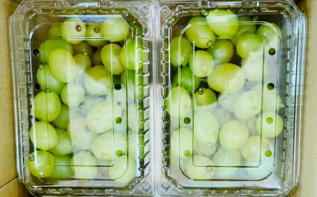 ご家庭用シャインマスカット 約1kg