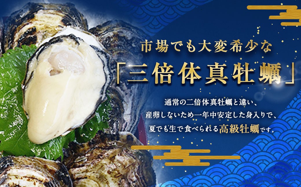 生食用 真牡蠣「ぷりみ」約3kg 