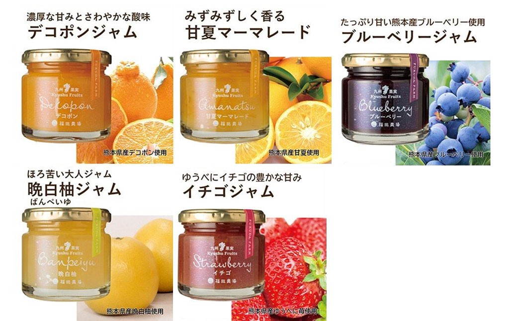 九州 果実 ジャム 詰め合わせ 120g×6個 セット いちご 甘夏