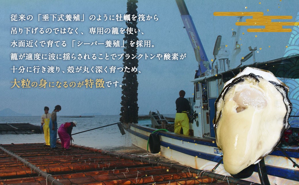 生食用 真牡蠣「ぷりみ」約4kg 