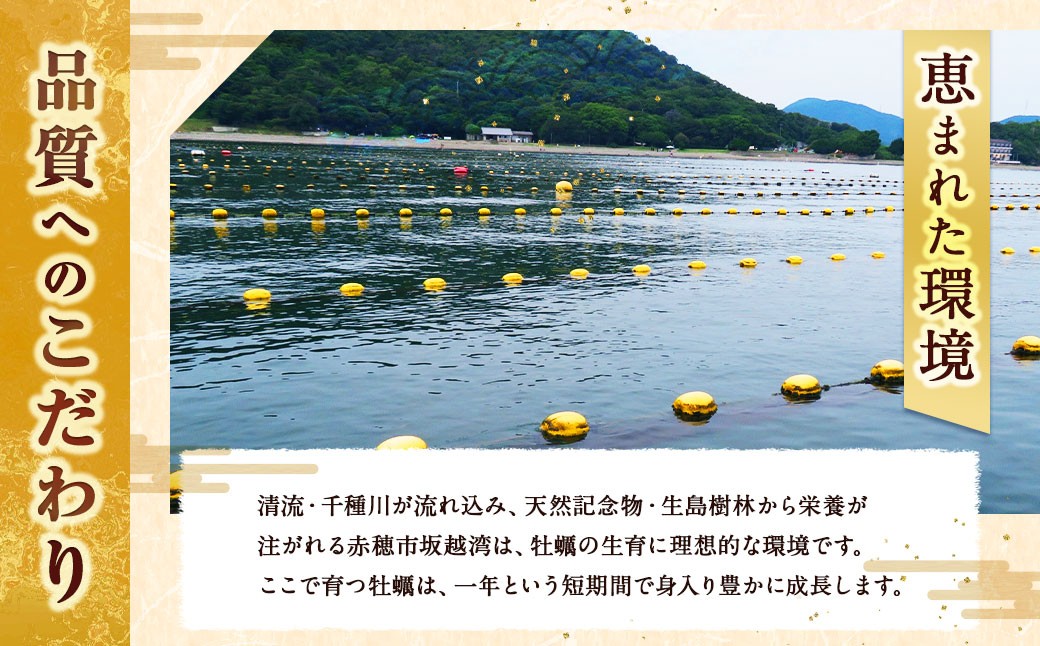 生食用 真牡蠣「ぷりみ」約3kg 