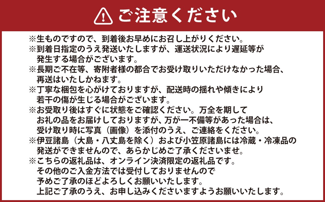 クリスマス用・数量限定 長崎県産いちごゆめの香 大粒 計約1kg