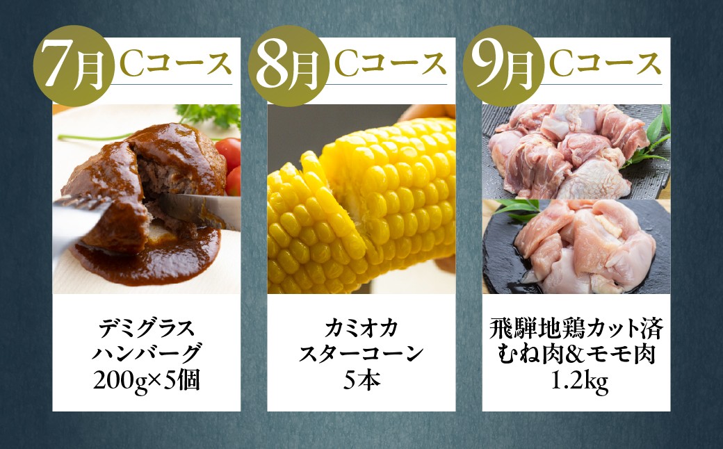 飛騨市でどやな 特選まるごと定期便