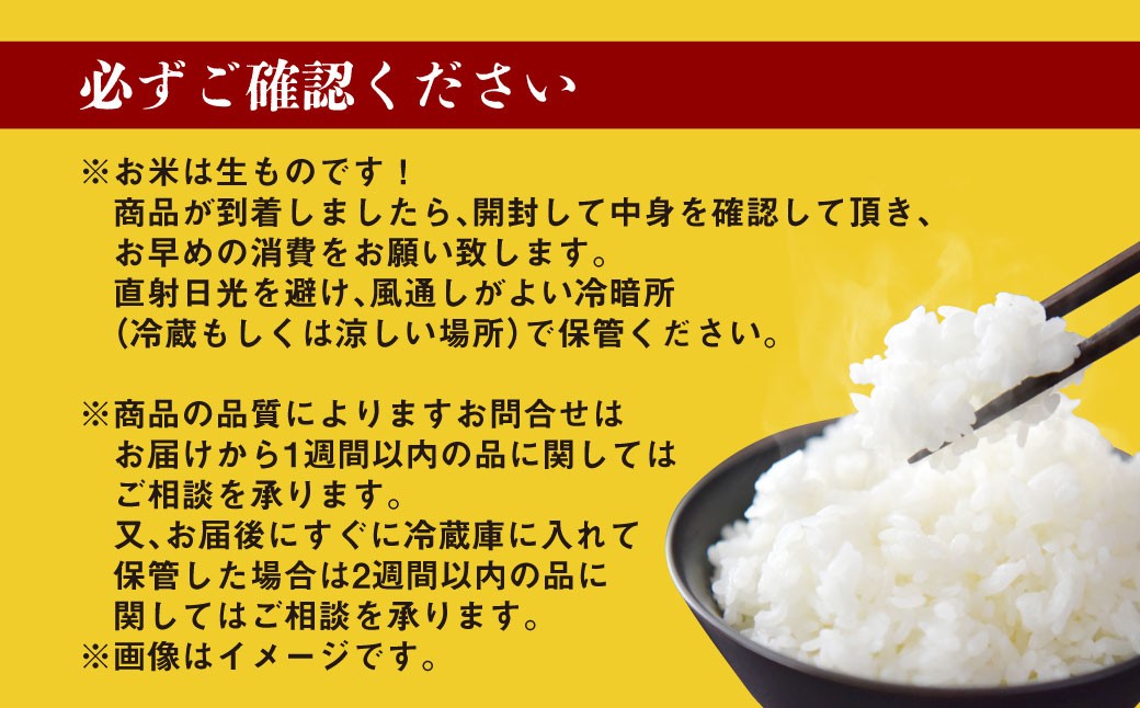 あきたこまち 10kg