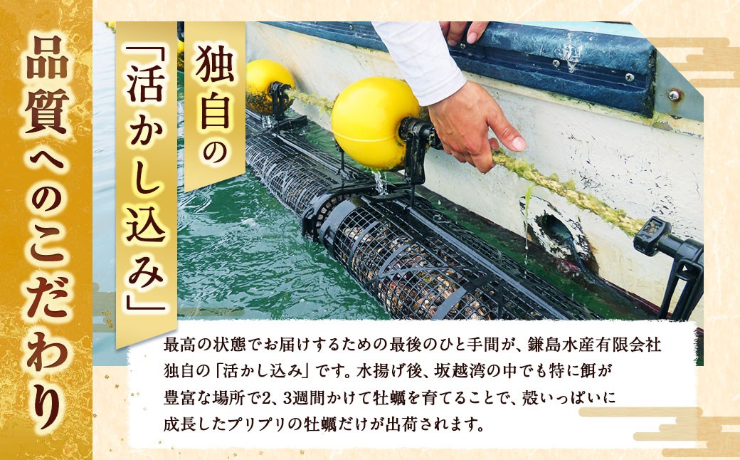 生食用 真牡蠣「ぷりみ」約2kg 