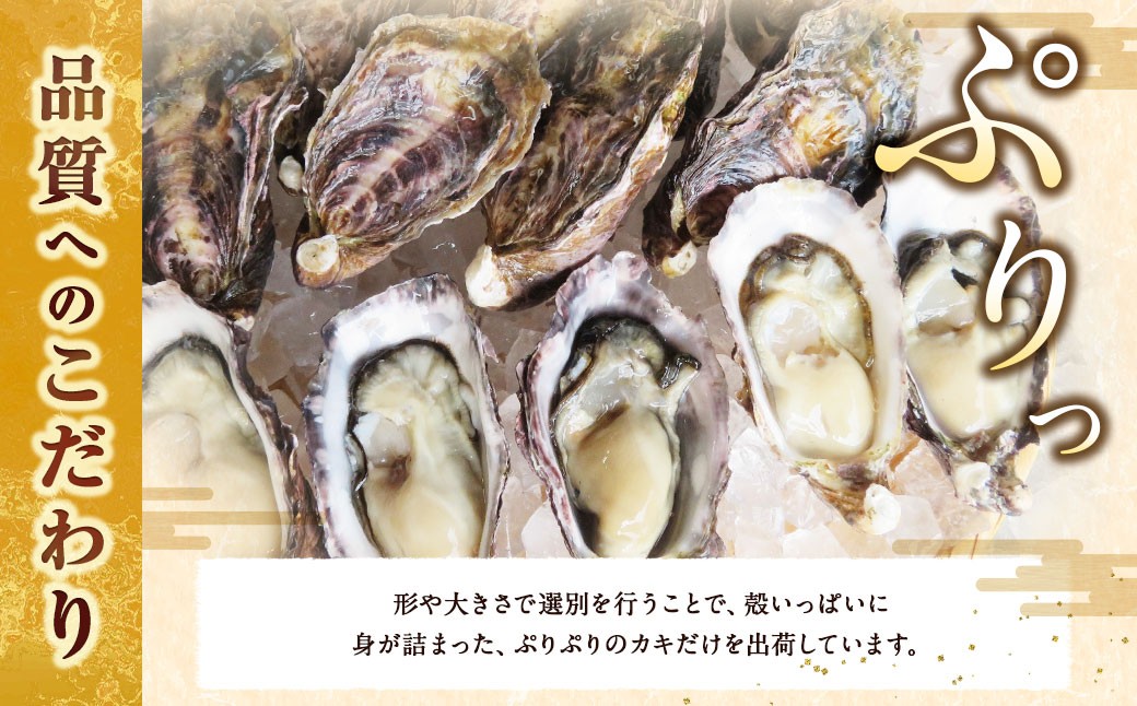 生食用 真牡蠣「ぷりみ」約2kg 