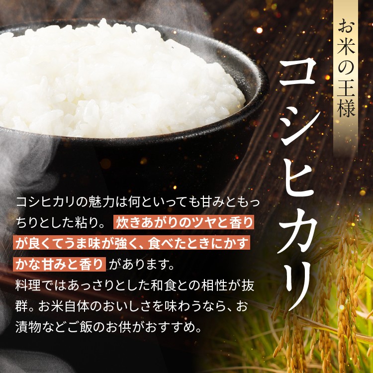 お米の王様　コシヒカリ