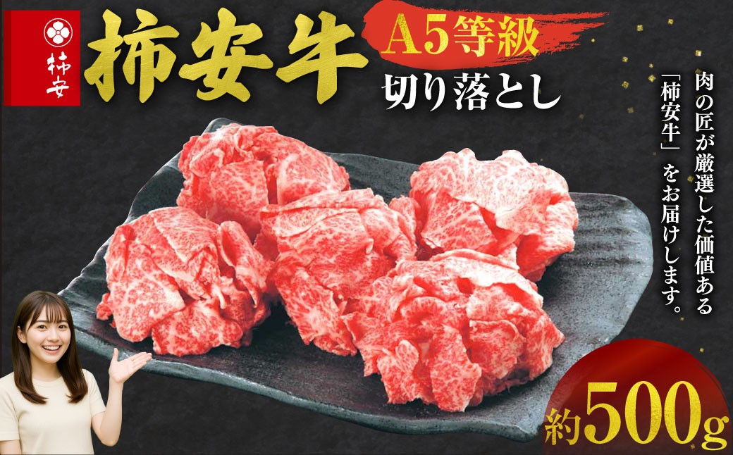 柿安本店三重柿安牛切り落とし 約500g