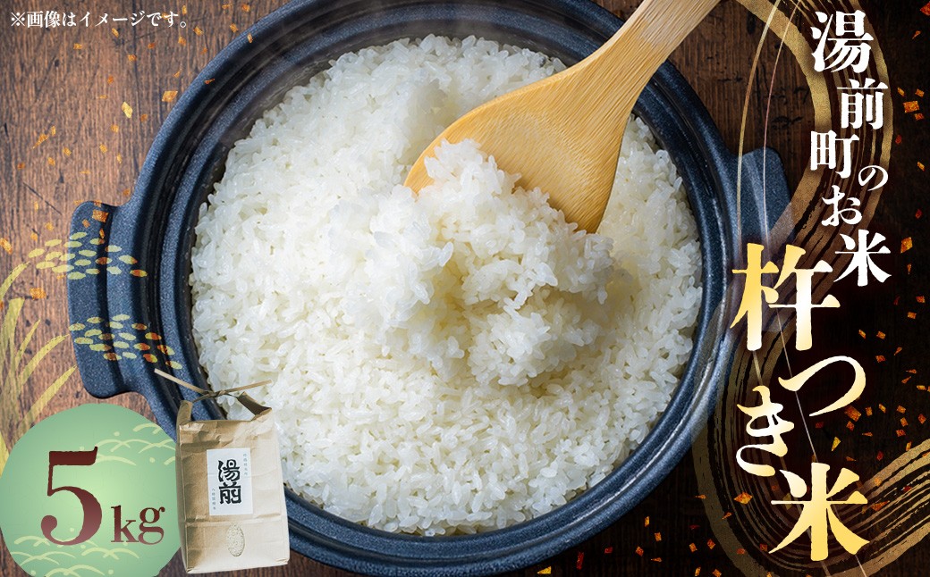 令和7年産 湯前町のお米「杵つき米」5kg 【2025年11月下旬～2026年1月下旬迄発送】