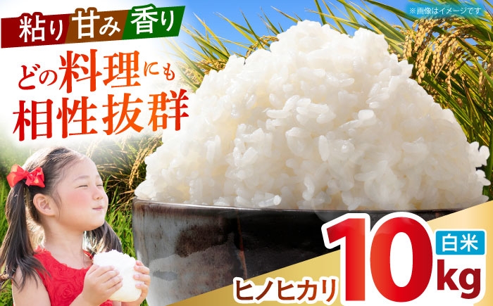 ヒノヒカリ 白米 10kg 【有限会社江北商会】 [HDK001] 新米 精米 米 おこめ お米 こめ コメ 白米 10キロ