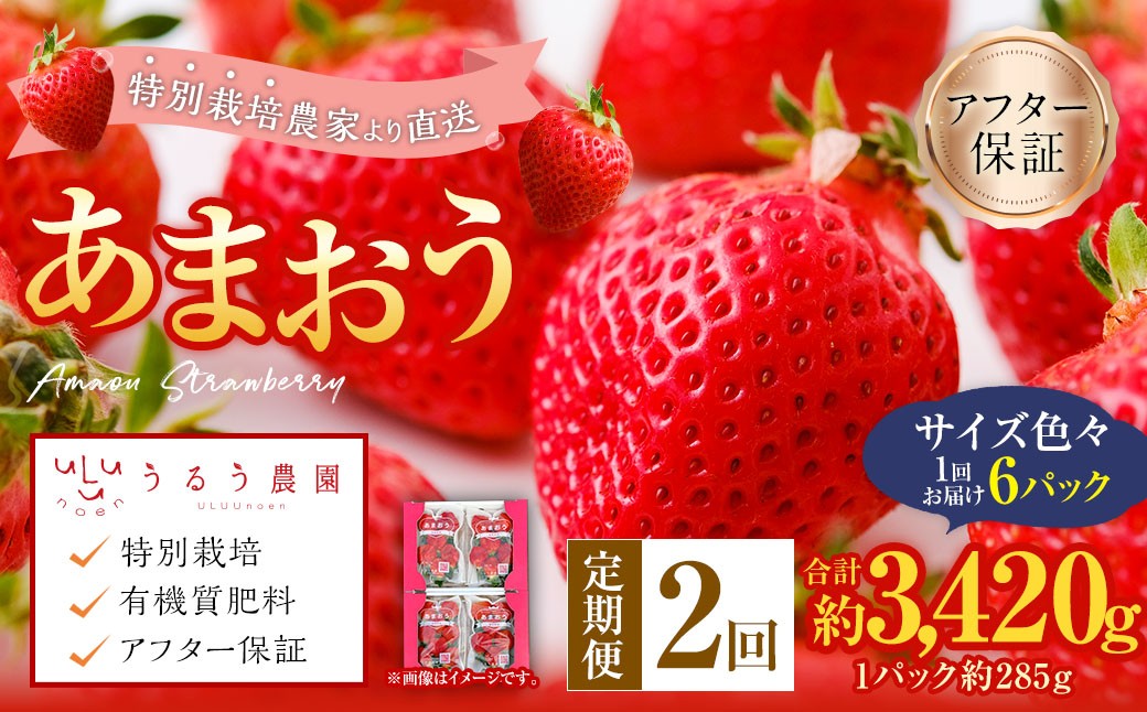 【2回定期便】うるう農園のあまおう サイズ色々6パック