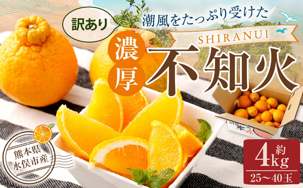 【訳あり】 ご家庭用 濃厚不知火 10～20玉 （ 約4kg ） 【2026年2月下旬～3月上旬迄発送予定】