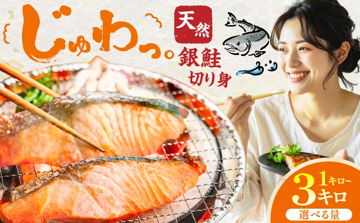 シャケ しゃけ 鮭 銀鮭 サーモン