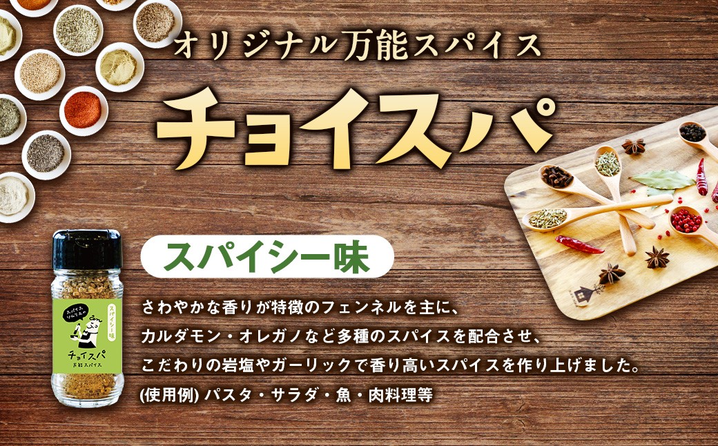 スープカレー専門店 禅 チョイスパ ３種の詰め合わせセット (スパイシー味・カレー味・ホットチリ味) 各40g×3本