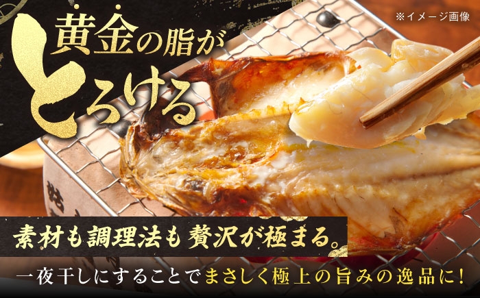 干物 ひもの 乾物 高級魚 のどぐろ 一夜干し 白身魚 五島市 魚 朝食 おかず おつまみ 定期 定期便