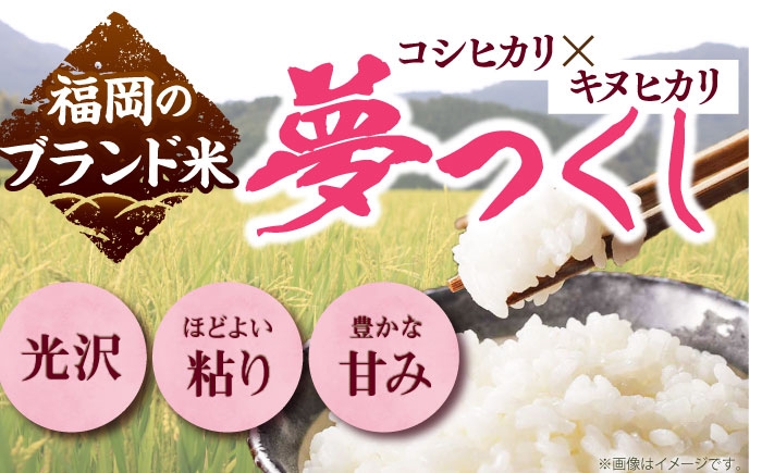 白米 米 お米 精米 新米 ゆめつくし ご飯 ごはん おこめ 弁当 お弁当
