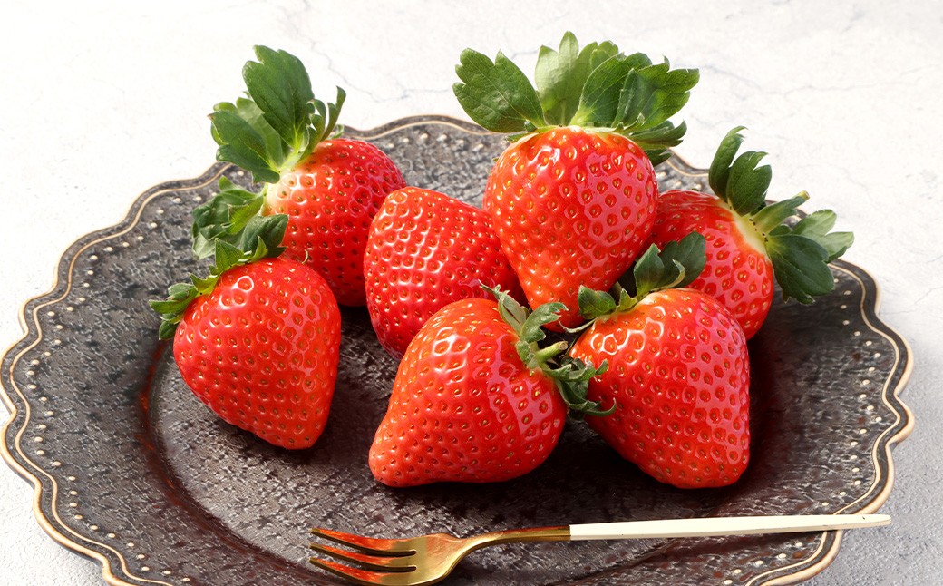 益城産 いちご 500g×1パック 贈答箱入り