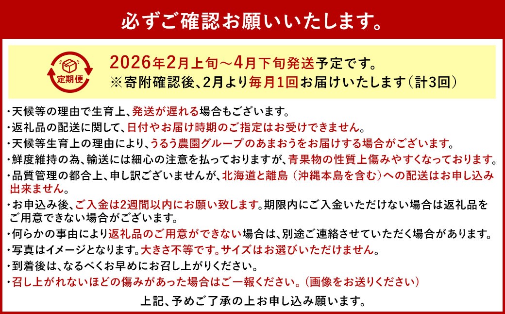 【3回定期便】 うるう農園のあまおう サイズ色々4パック