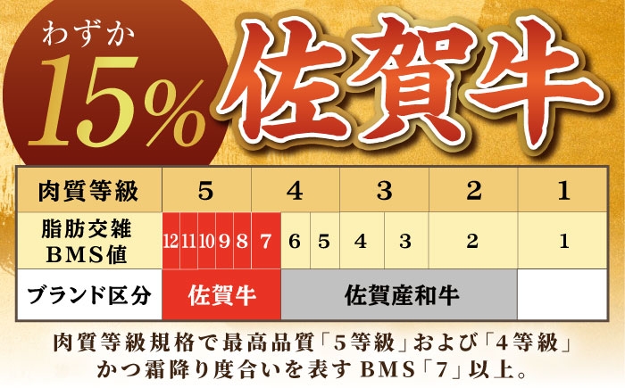  佐賀牛 赤身 サイコロステーキ 500g [HCS124] / A5 A5ランク 肉 お肉 牛肉 黒毛和牛 ステーキ すてーき