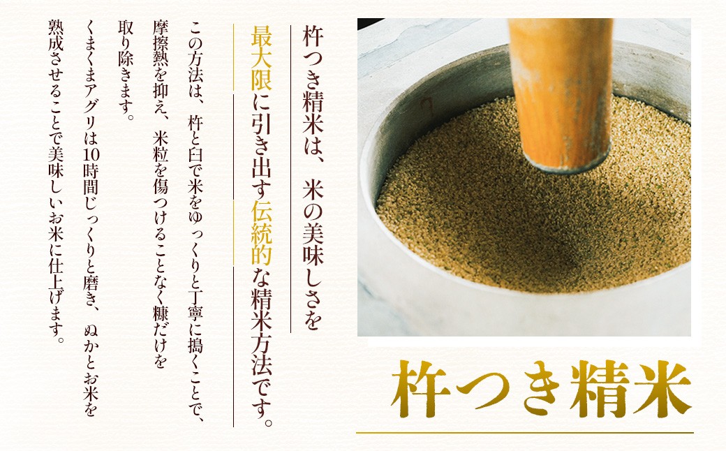 令和7年産 湯前町のお米「杵つき米」5kg 【2025年11月下旬～2026年1月下旬迄発送】