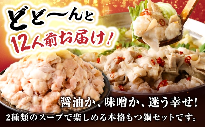 もつ鍋 味噌 醤油 食べ比べ セット モツ 福岡