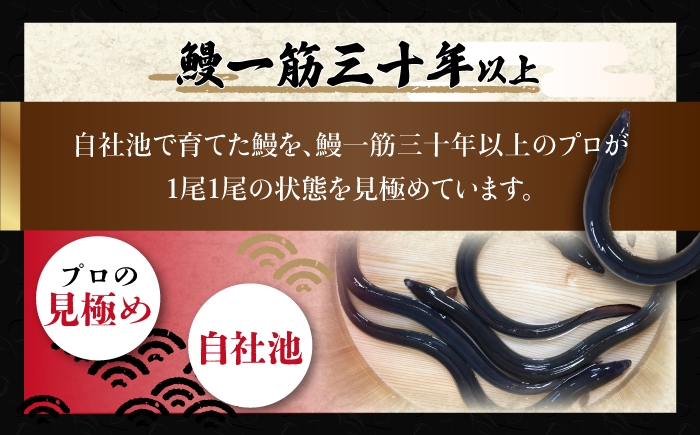 高知焼き鰻蒲焼2尾【鰻HASHIMOTO】 [ATDX005]