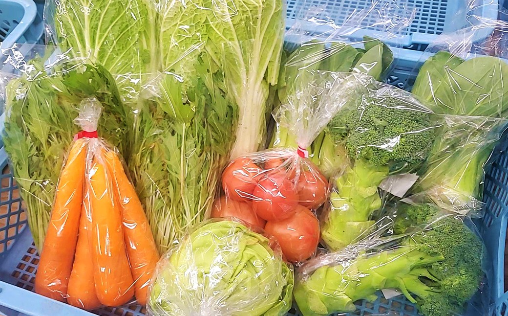 その時期の一番美味しいをお届け！ 竹田育ちの 「野菜詰め合わせセット」 B