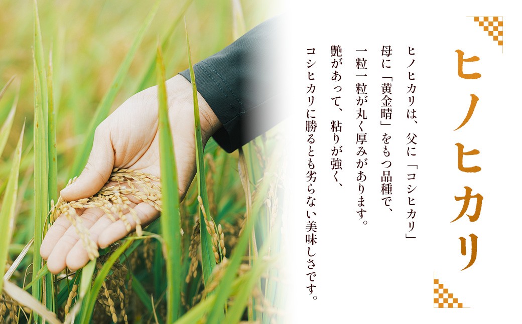 令和7年産 湯前町のお米「古式精米」2kg 【2025年11月下旬～2026年1月下旬迄発送】