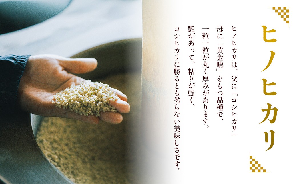 令和7年産 湯前町のお米「杵つき米」5kg 【2025年11月下旬～2026年1月下旬迄発送】