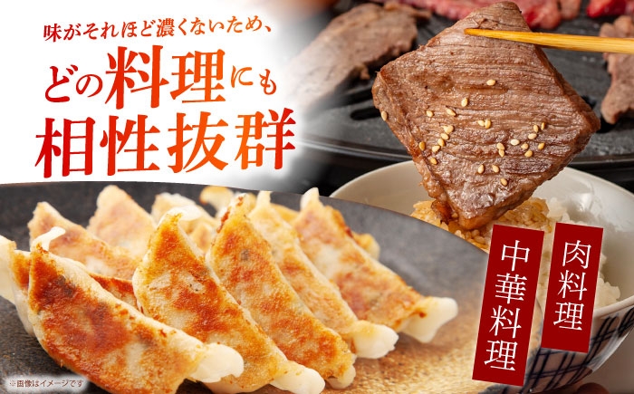 ヒノヒカリ 白米 10kg 【有限会社江北商会】 [HDK001] 新米 精米 米 おこめ お米 こめ コメ 白米 10キロ